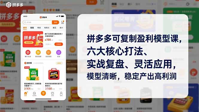 拼多多可复制盈利模型课，六大核心打法、实战复盘、灵活应用，模型清晰，稳定产出高利润-网赚项目平台
