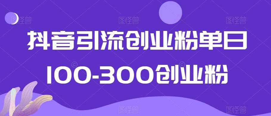 抖音引流创业粉单日100-300创业粉【揭秘】-网赚项目平台
