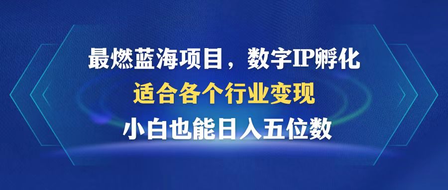 最燃蓝海项目  数字IP孵化  适合各个行业变现  小白也能日入5位数-网赚项目平台