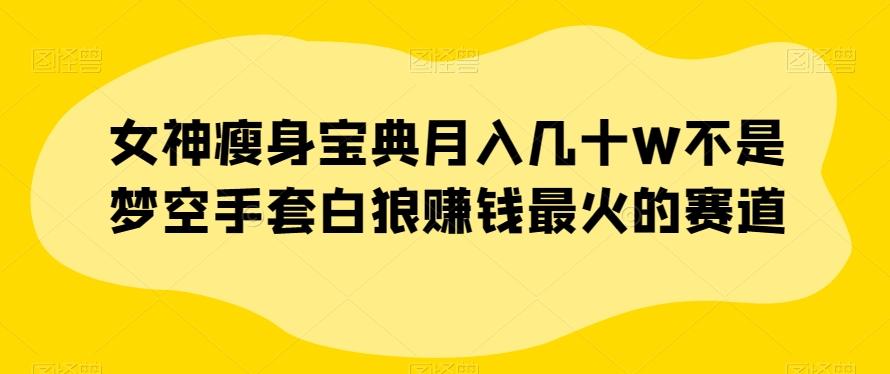 女神瘦身宝典月入几十W不是梦空手套白狼赚钱最火的赛道【揭秘】-网赚项目平台