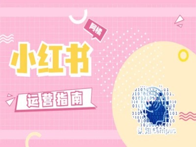 小红书运营指南，没有套路，全是经验-网赚项目平台
