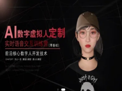 AI数字虚拟人定制，实时语音交互训练营(零基础)，前沿核心数字人开发技术-网赚项目平台