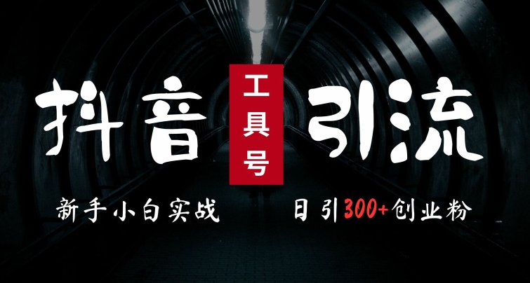 2024最新抖音工具号引流玩法，高效日引300+创业粉，当天变现5k，小白也可成为实战高手-网赚项目平台