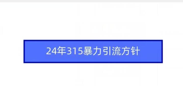 24年315暴力引流方针-网赚项目平台