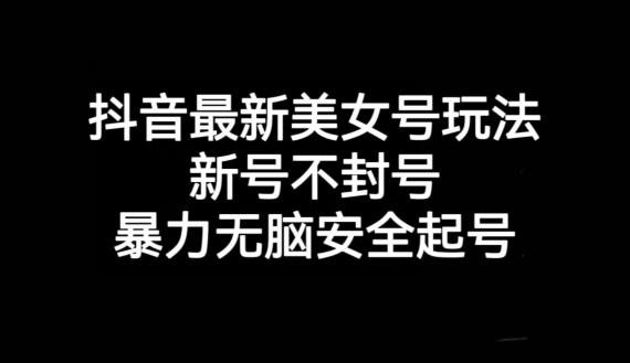 抖音最新美女号玩法，新号不封号，暴力无脑安全起号【揭秘】-网赚项目平台