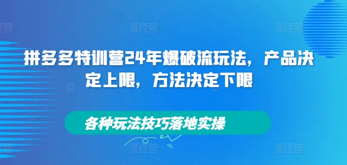 拼多多特训营24年爆破流玩法，产品决定上限，方法决定下限，各种玩法技巧落地实操-网赚项目平台