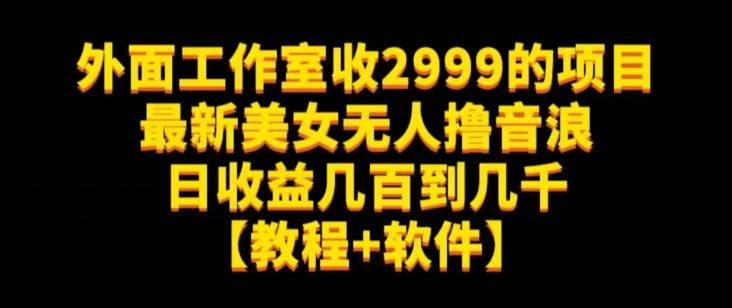 外面工作室收2999的项目最新美女无人撸音浪日收益几百到几千【教程+软件】（仅揭秘）-网赚项目平台