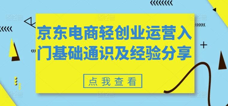 京东电商轻创业运营入门基础通识及经验分享-网赚项目平台