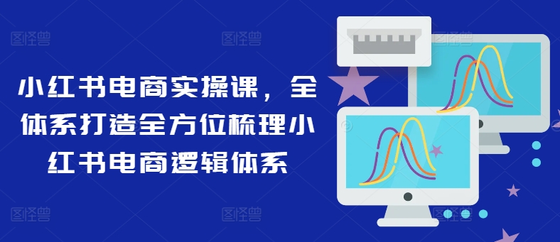 小红书电商实操课，全体系打造全方位梳理小红书电商逻辑体系-网赚项目平台
