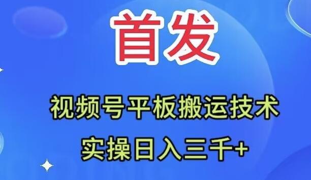 全网首发：视频号平板搬运技术，实操日入三千＋-网赚项目平台