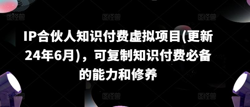 IP合伙人知识付费虚拟项目(更新24年6月)，可复制知识付费必备的能力和修养-网赚项目平台