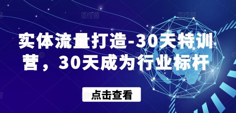 实体流量打造-30天特训营，30天成为行业标杆-网赚项目平台