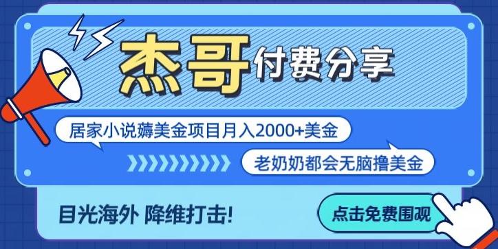 拆解海外撸美金项目月入2000美刀详细指导-网赚项目平台
