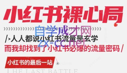 月月老师·小红书低粉高变现课-网赚项目平台