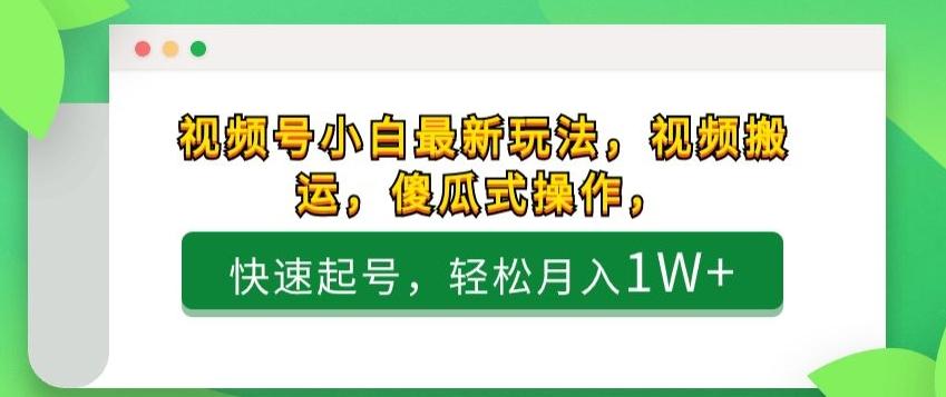 视频号小白最新玩法，视频搬运，傻瓜式操作，快速起号，轻松月入1W+-网赚项目平台