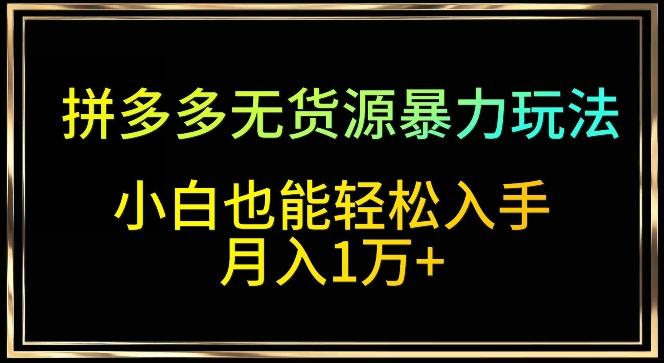 拼多多无货源暴力玩法，全程干货，小白也能轻松入手，月入1万+【揭秘】-网赚项目平台