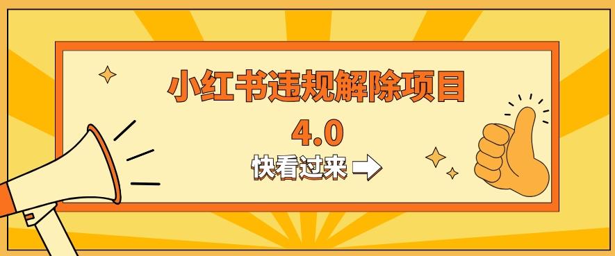 小红书违规掘金蓝海项目，日入800+（附带引流办法及解除办法）-网赚项目平台