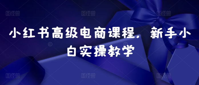 小红书高级电商课程，新手小白实操教学-网赚项目平台