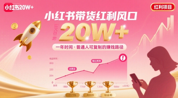 一年时间靠小红书带货项目年入20w+，最不能错的大红利项目-网赚项目平台
