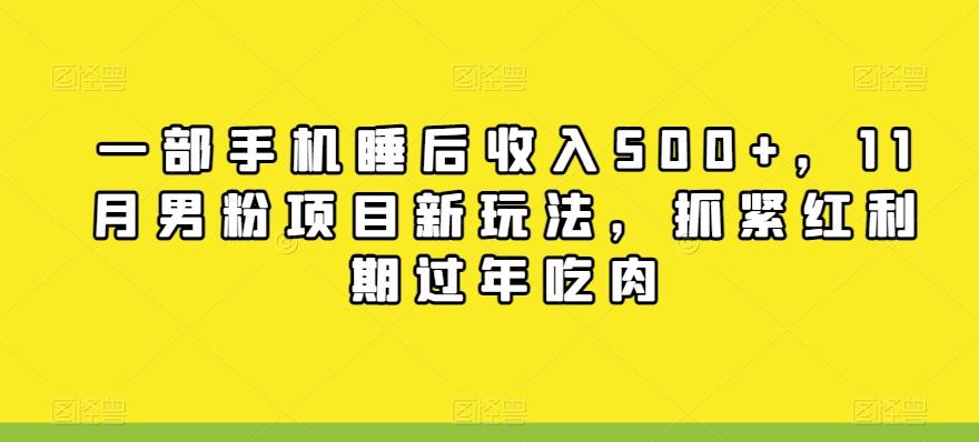 一部手机睡后收入500+，11月男粉项目新玩法，抓紧红利期过年吃肉-网赚项目平台