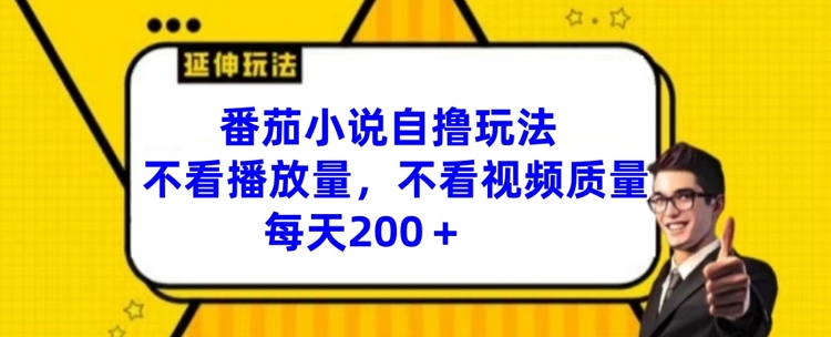 番茄小说自撸玩法，不看播放量，不看视频质量，每天200+【揭秘】-网赚项目平台