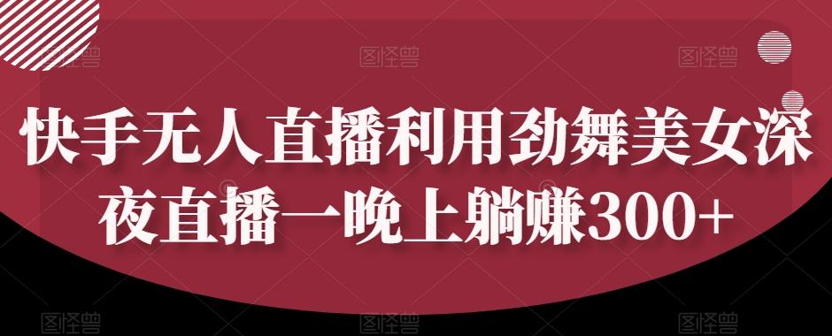 快手无人直播利用劲舞美女深夜直播一晚上躺赚300+-网赚项目平台
