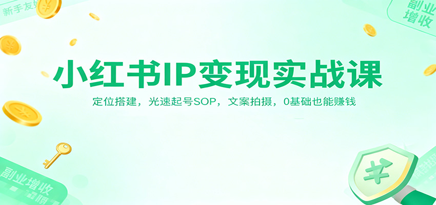 小红书IP变现实战课：定位搭建，光速起号SOP，文案拍摄，0基础也能赚钱-网赚项目平台
