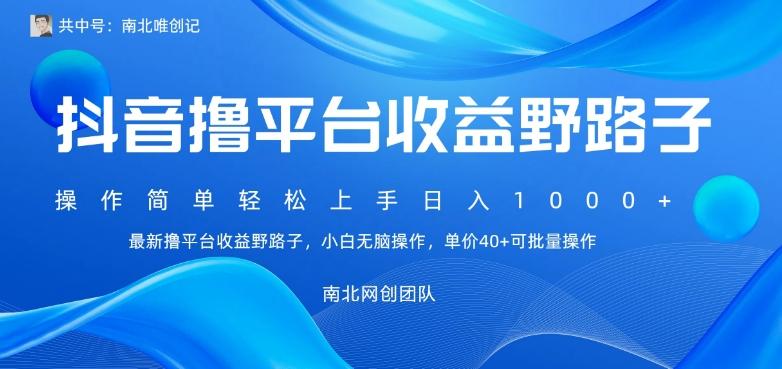 最新撸抖音平台收益野路子，操作简单，单价高，小白可无脑操作可日入1000+-网赚项目平台