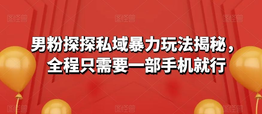 男粉探探私域暴力玩法揭秘，全程只需要一部手机就行-网赚项目平台
