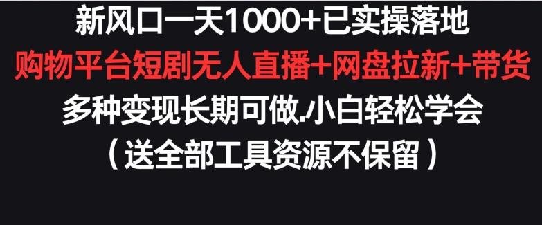 新风口一天1000+已实操落地购物平台短剧无人直播+网盘拉新+带货多种变现长期可做【揭秘】-网赚项目平台