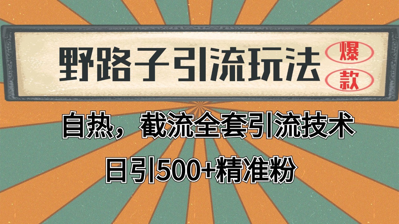 2024首发野路子引流玩法截流自热全平台打法，全自动引流【日引2000+精准客户】-网赚项目平台