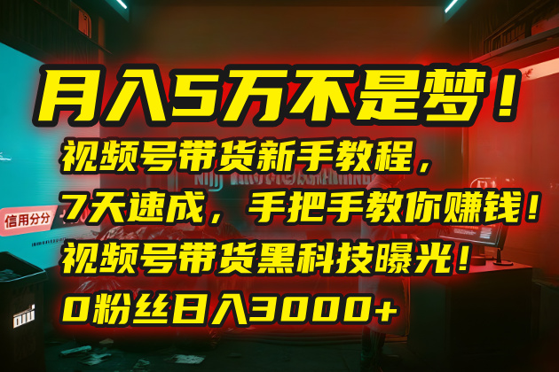 月入5万不是梦！视频号带货新手教程，7天速成，手把手教你赚钱！视频号…-网赚项目平台