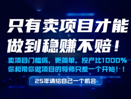 只有卖项目才能做到稳挣不赔，门槛低，更简单，你也可以年入百个W【揭秘】-网赚项目平台