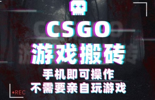 CSGO游戏挂G捡漏,单日扫货5张+,年底小高峰上车可吃肉,手机即可操作,兼职副业创业网创【揭秘】-网赚项目平台