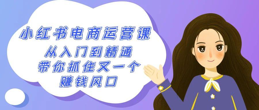 2024小红书-电商运营课，从入门到精通，带你抓住又一个赚钱风口(50节课)-网赚项目平台