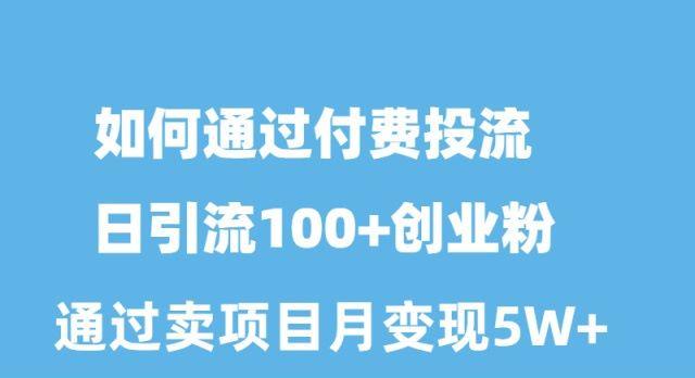 如何通过付费投流日引流100+创业粉月变现5W+-网赚项目平台
