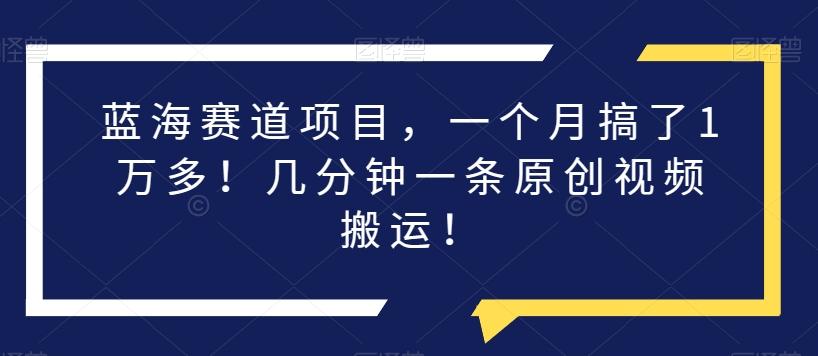 蓝海赛道项目，一个月搞了1万多！几分钟一条原创视频搬运！-网赚项目平台