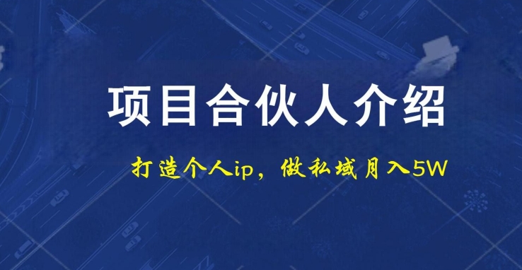 项目合伙人项目，打造个人IP，做私域月入5W，小白勿扰-网赚项目平台