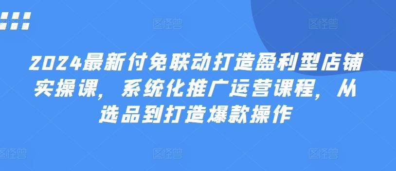 2024最新付免联动打造盈利型店铺实操课，​系统化推广运营课程，从选品到打造爆款操作-网赚项目平台