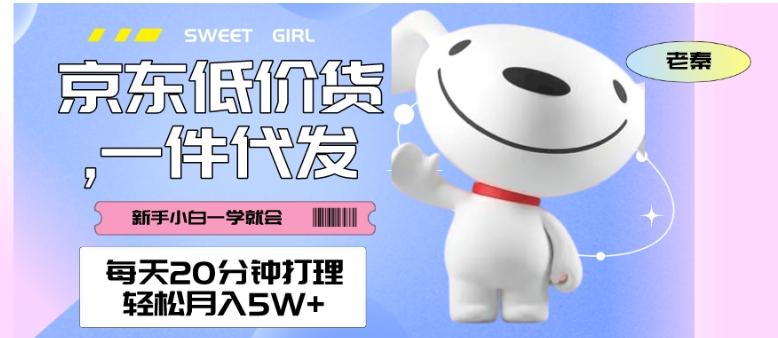 每天20分钟打理京东低价货，一件代发-轻松月入5W＋-网赚项目平台