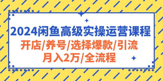 2024闲鱼高级实操运营课程：开店/养号/选择爆款/引流/月入2万/全流程-网赚项目平台