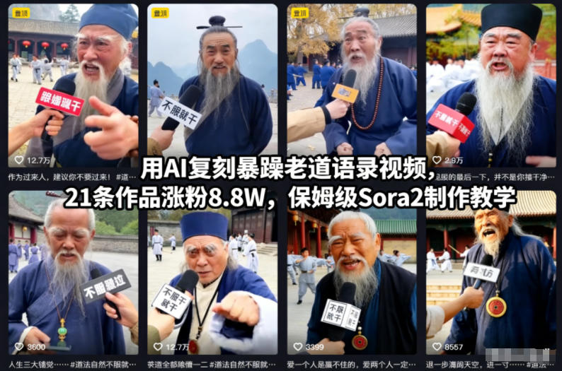用AI复刻暴躁老道语录视频,21条作品涨粉8.8W,保姆级Sora2制作教学-网赚项目平台
