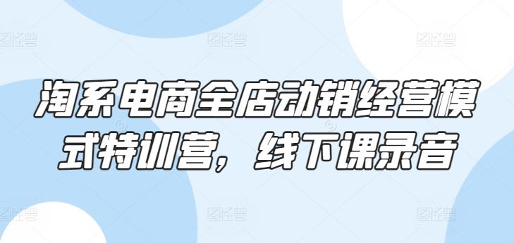 淘系电商全店动销经营模式特训营，线下课录音-网赚项目平台