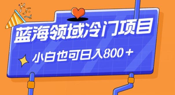 蓝海领域冷门赛道，一单39.9，日入800＋-网赚项目平台