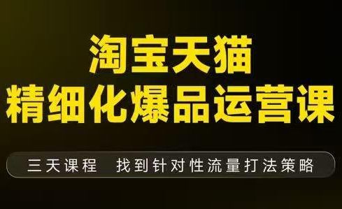 猫课子幽·淘宝天猫精细化爆品运营【音频+字幕+文档】(9月12-14杭州线下课)-网赚项目平台