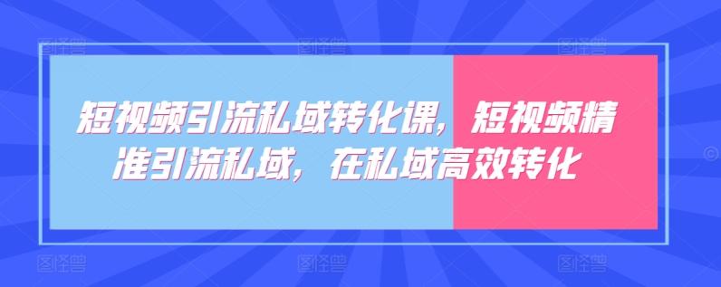 短视频引流私域转化课，短视频精准引流私域，在私域高效转化-网赚项目平台