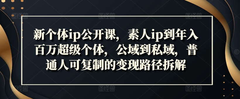新个体ip公开课，素人ip到年入百万超级个体，公域到私域，普通人可复制的变现路径拆解-网赚项目平台
