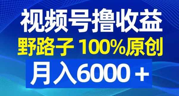 视频号野路子撸收益，100%原创，条条爆款，月入6000＋【揭秘】-网赚项目平台