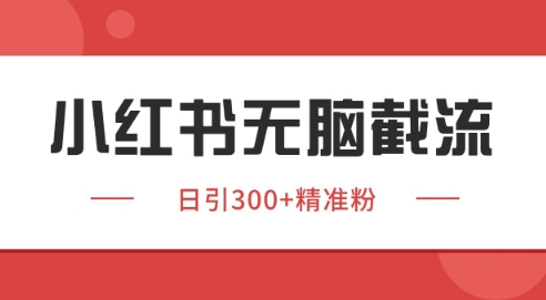 小红书截流同行客源，独家野路子获客玩法 日引200+暴力获客【揭秘】-网赚项目平台