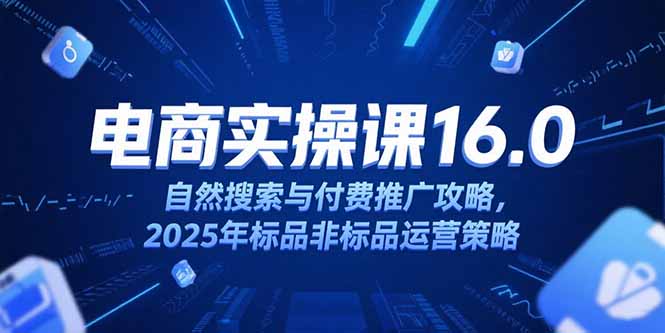 淘宝电商运营课16.0，自然搜索与付费推广攻略，2025年标品非标品运营策略-网赚项目平台